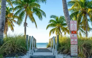A beach with palm trees and a stairway.