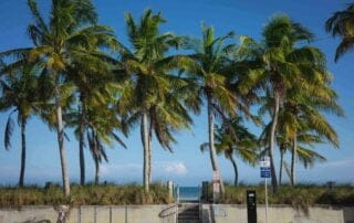 Palm trees on the beach in Key West, Florida.