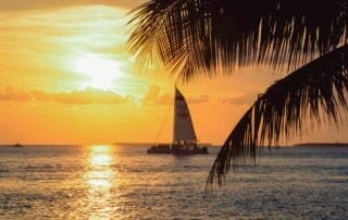 A sailboat gracefully sails past a palm tree at sunset, creating a picturesque scene perfect for capturing memorable wedding moments.