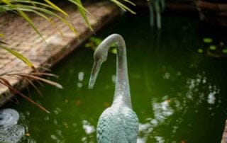 A serene pond with a majestic heron statue.