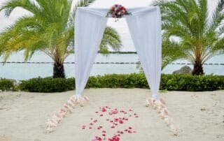 A beach wedding arch adorned with flowers next to a palm tree in Key West.