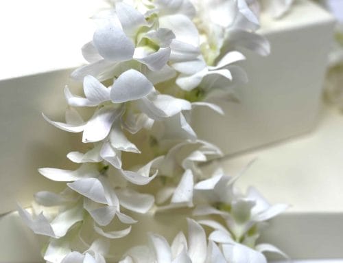 White Dendrobuim Leis