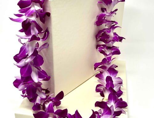 Purple Dendrobuim Leis