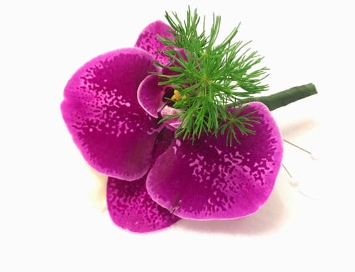 Grooms Boutonniere