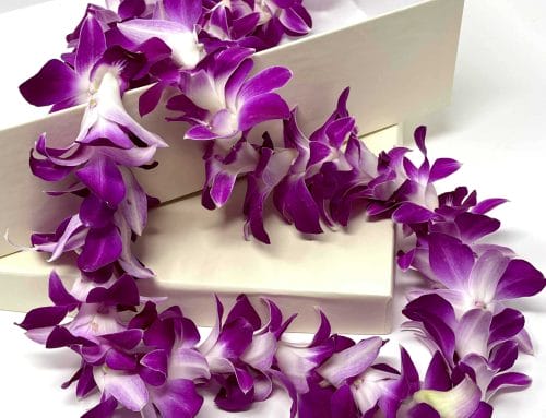 Purple Dendrobuim Leis